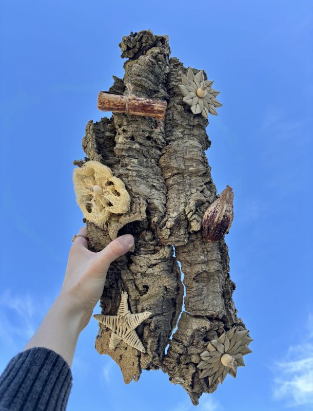 Piattaforma in sughero grande foraging