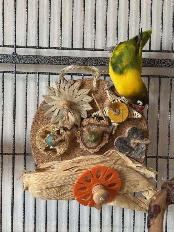 piattaforma in sughero