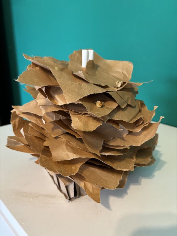 cannucce su piattaforma di cartone + carta impilata