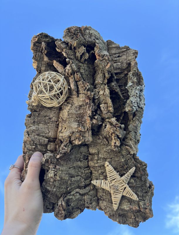 Piattaforma in sughero per foraging