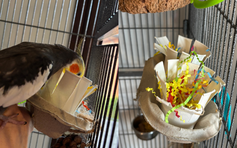 Bicchieri + carta + porta bicchieri fast food