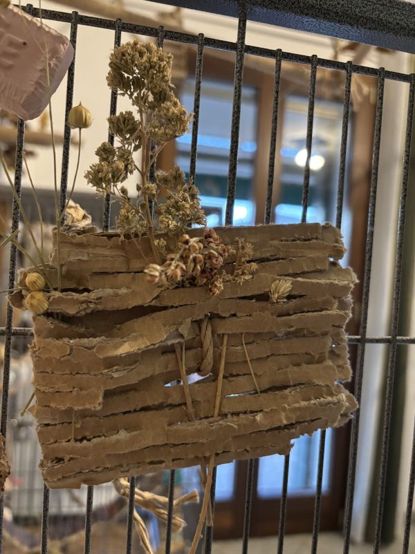 fogli di cartone per imballaggi