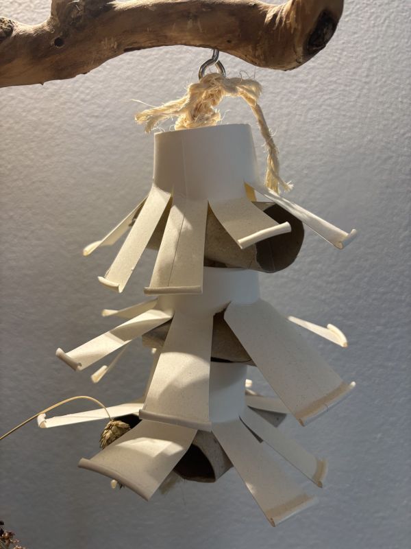 bicchieri + rotoli carta igienica